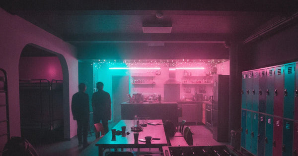 How to Open a Hostel: Equipment, Costs, and Licences