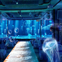 Immersive 3D Projection Mapping System image preview
