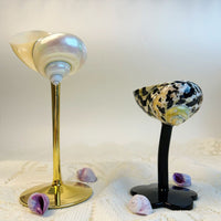 Handmade Shell Cocktail Glasses image preview