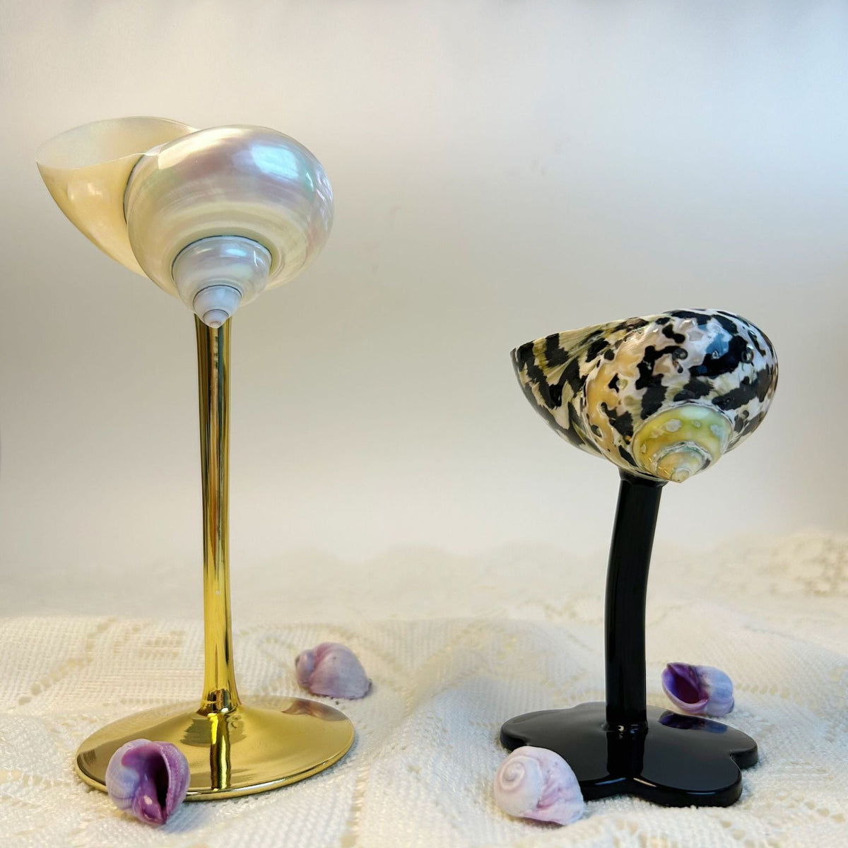 Handmade Shell Cocktail Glasses, height 11–16cm