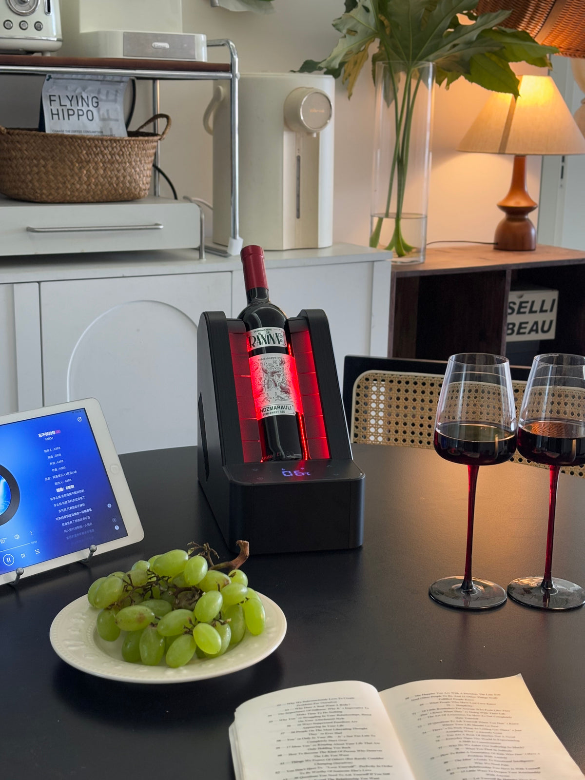 Single-Bottle Wine Cooler — Battery Peltier Chiller