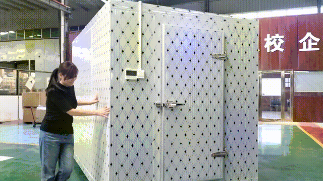 Walk-In Cold Room — Modular Cold Storage with Solar Option
