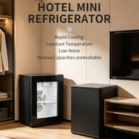 48L Thermoelectric Minibar Fridge image preview