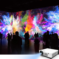 Immersive 3D Projection Mapping System image preview