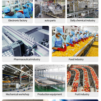 Food-Grade Stainless Steel Belt Conveyor — PU Belt Processing Line image preview