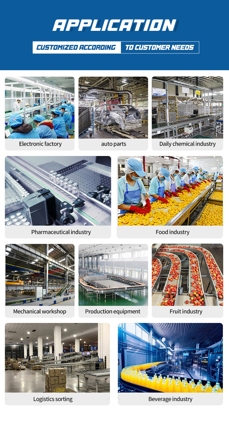 Food-Grade Stainless Steel Belt Conveyor — PU Belt Processing Line