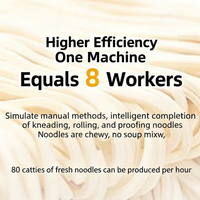 Commercial Automatic Fresh Noodle Machine — Mixer &amp; Cutter image preview