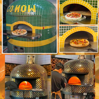 Multi-Fuel Outdoor Pizza Oven image preview