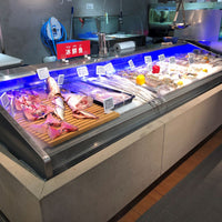 Commercial Refrigerated Seafood Display Case — Ice Deck image preview