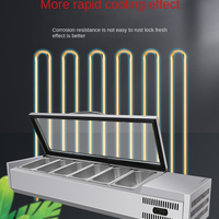 Refrigerated Countertop Salad &amp; Prep Rail image preview