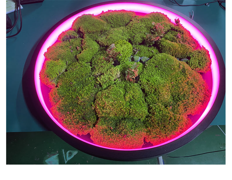 Biophilic LED Ring Chandelier with Preserved Moss