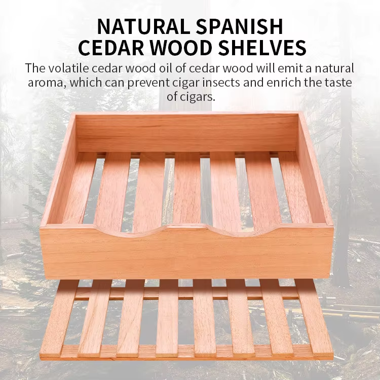 Armario humidor termoeléctrico para puros — 25 L, puerta de cristal