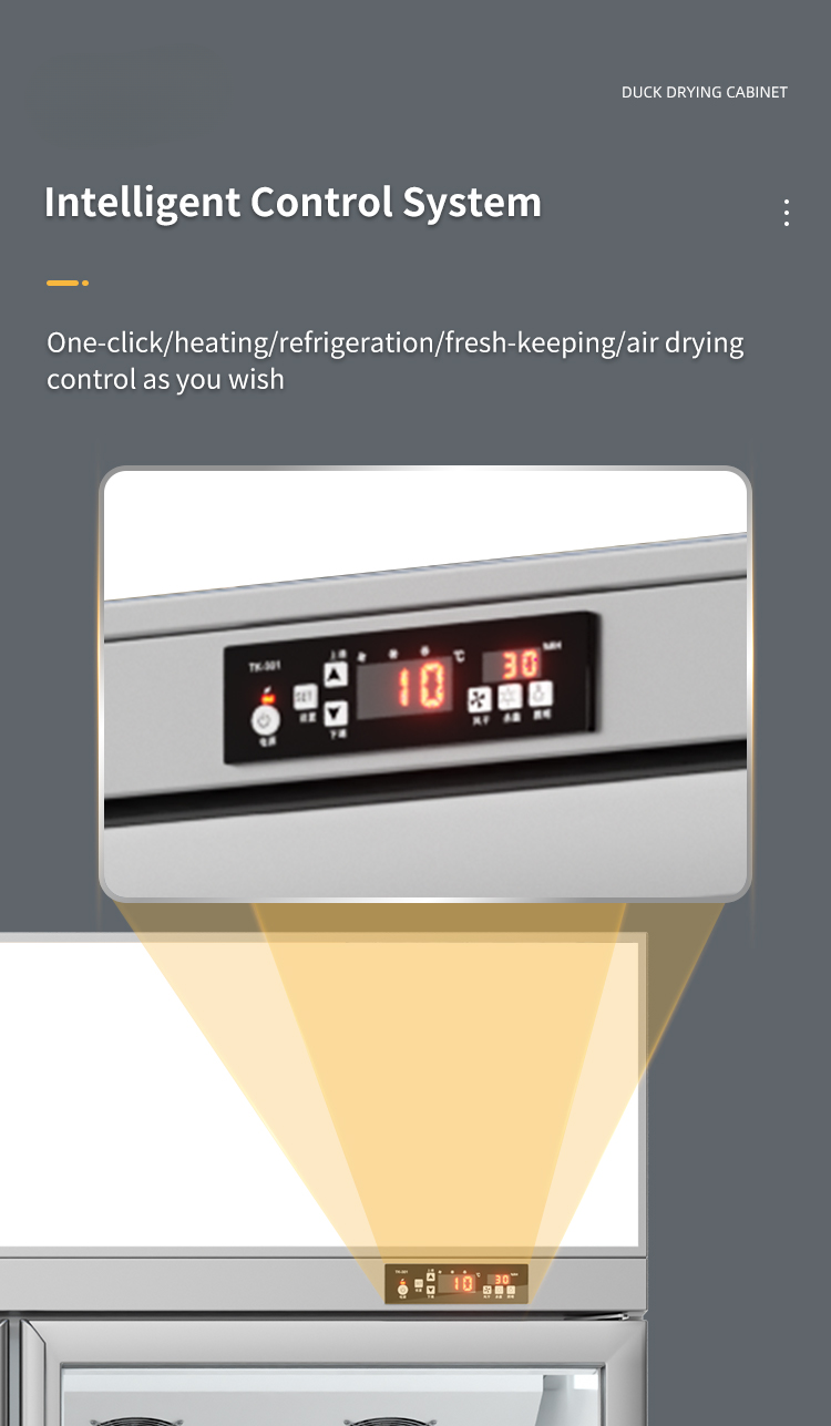 Commercial Duck & Goose Drying and Aging Cabinet — 2-Door Air-Cooled, style Single-temperature