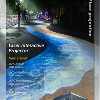 Interactive Indoor and Outdoor Laser Floor &amp; Wall Projector image preview