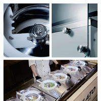 All-in-One Gelato &amp; Ice Cream Machine — Displayable Churning Freezer image preview
