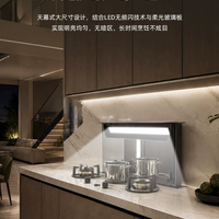 Downdraft Island Range Hood with Recirculation Filtration and Tabletop Lifting image preview