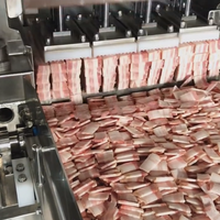 Frozen Meat Roll Cutting Machine — Automatic Beef &amp; Mutton Slicer image preview