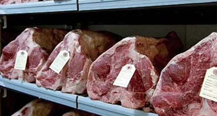 Commercial Dry Aging Cabinet — UV Sterilization & Humidity Control, humidity stability ±5%
