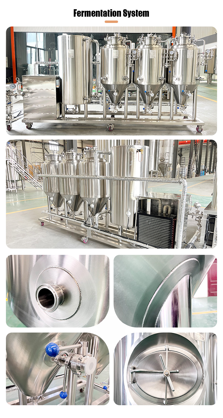 1 BBL Commercial Brewing System