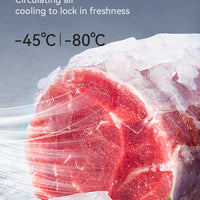 Commercial Blast Freezer — Stainless Steel Plate Freezer for Gelato &amp; Ice Cream image preview