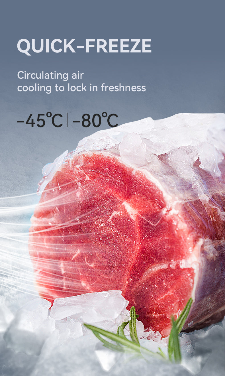 Commercial Blast Freezer — Stainless Steel Plate Freezer for Gelato & Ice Cream