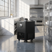Commercial Draft Beer Dispenser &amp; Ice-Bank Kegerator image preview