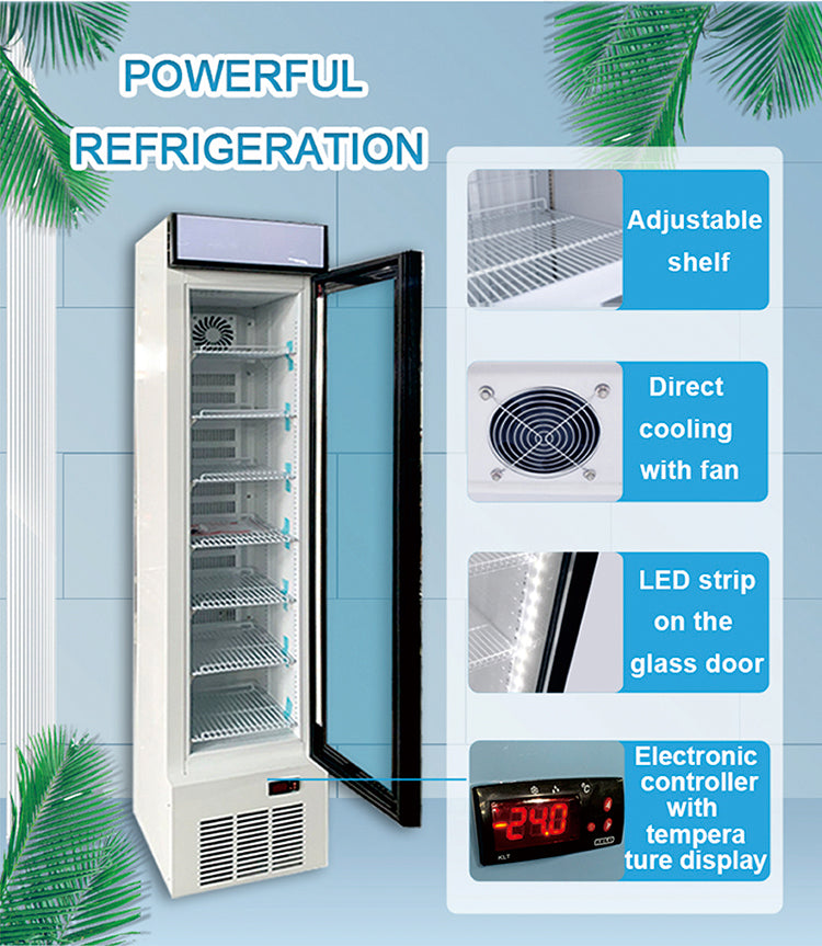 Commercial Glass-Door Display Freezer — Slim Upright, 105 L