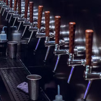 Commercial Draft Beer Dispenser — Air-Cooled Multi-Tap System image preview
