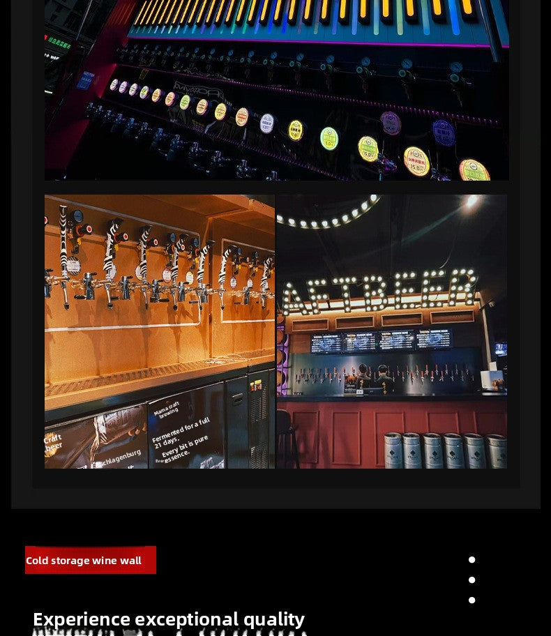 Commercial Draft Beer Dispenser — Air-Cooled Multi-Tap System