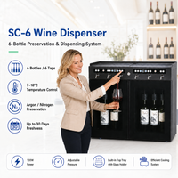Commercial Wine-by-the-Glass Dispenser — 6 Bottles, 6 Taps image preview