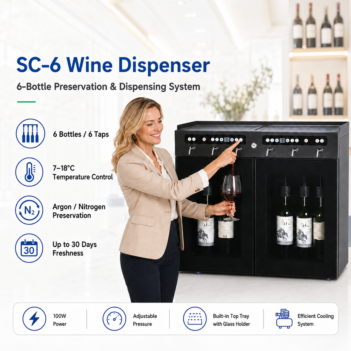 Commercial Wine-by-the-Glass Dispenser — 6 Bottles, 6 Taps