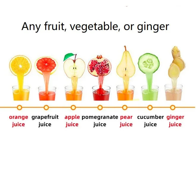 Commercial Spiral Slow Juicer — Twin-Gear Cold Press for Ginger, Apple & Hard Produce