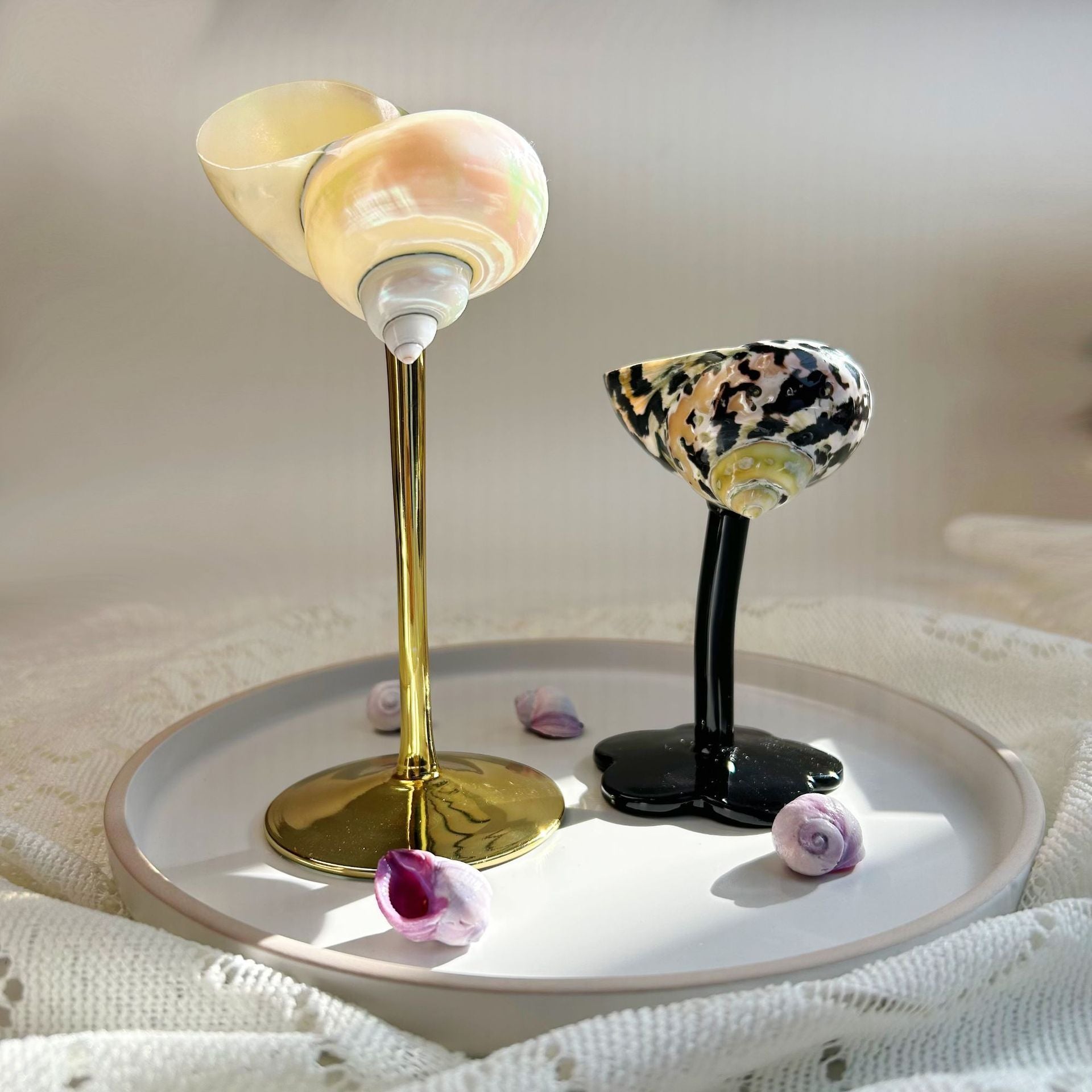 Unique Handmade Glasses from Real Shells