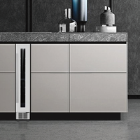 Built-In Slim Wine Cooler — 9-Bottle Stainless Steel with Glass Door image preview
