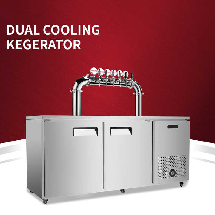 Beer Kegerator