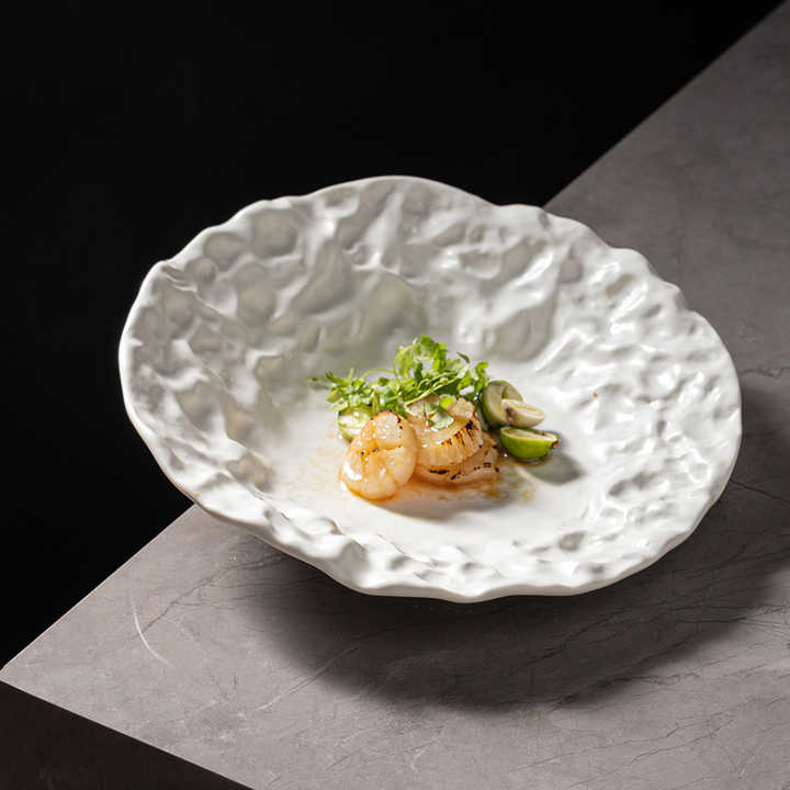 Japanese Antique Dishes Slant Plates