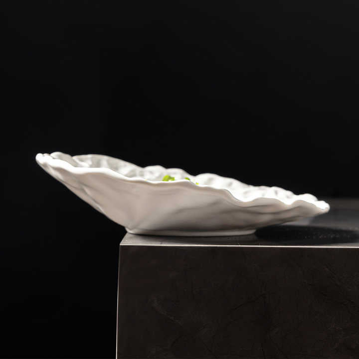 Japanese Antique Dishes Slant Plates