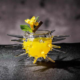 Sea Urchin Glass