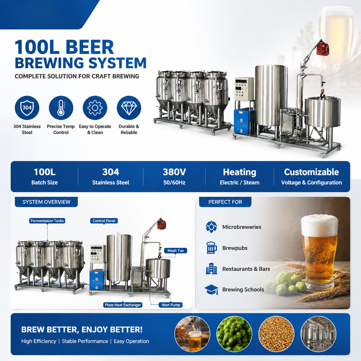 100L Craft Microbrewery System — Brewhouse & Fermenters
