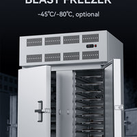 Commercial Blast Freezer — Stainless Steel Plate Freezer for Gelato &amp; Ice Cream image preview