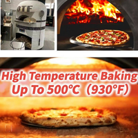 Multi-Fuel Outdoor Pizza Oven image preview