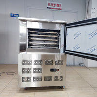 Commercial Blast Freezer — Stainless Steel Plate Freezer for Gelato &amp; Ice Cream image preview
