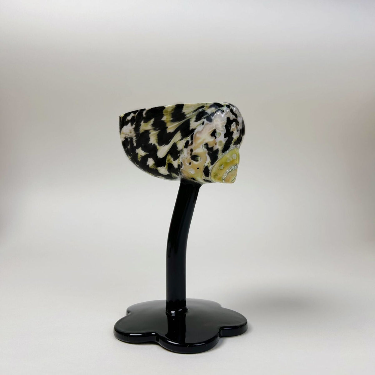 Handmade Shell Cocktail Glasses, style Mediterranean