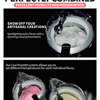 All-in-One Gelato &amp; Ice Cream Machine — Displayable Churning Freezer image preview