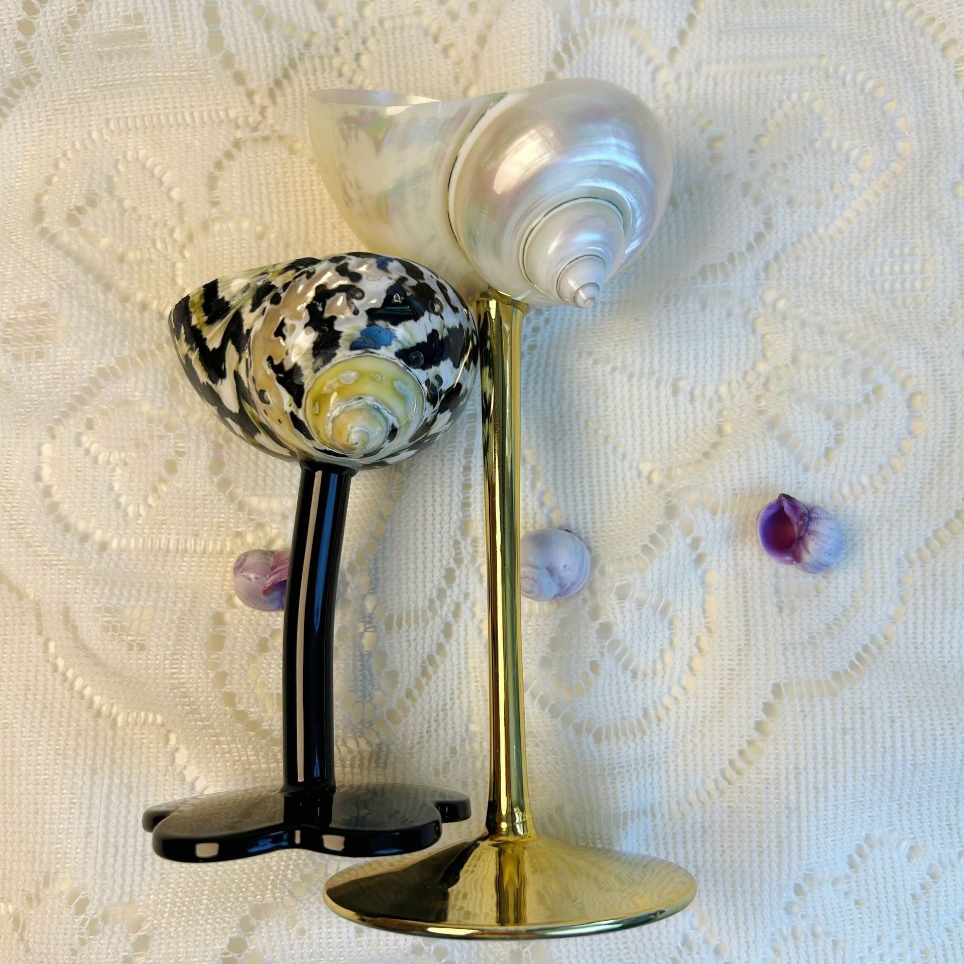 Unique Handmade Glasses from Real Shells