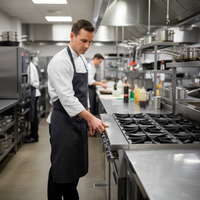Commercial Gas Cooking Range image preview