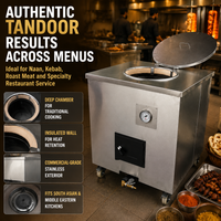 Commercial Gas Clay Tandoor Oven — Stainless Steel image preview