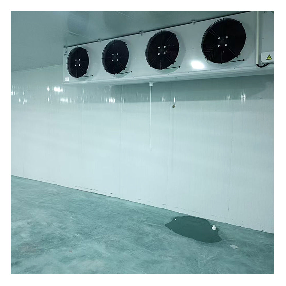 Walk-In Cold Room — Modular Cold Storage with Solar Option