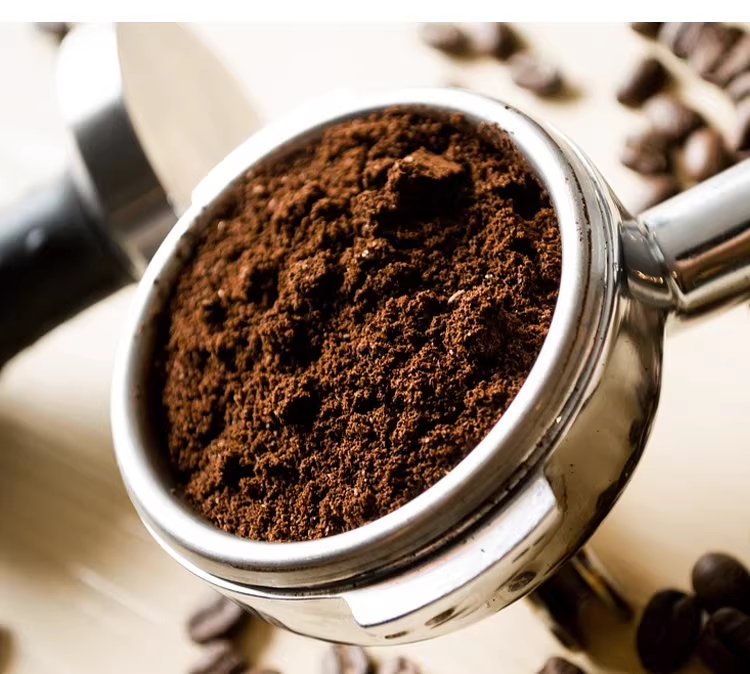 Commercial Electric Coffee Grinder — 64mm Flat Burr, Stepless Adjustment