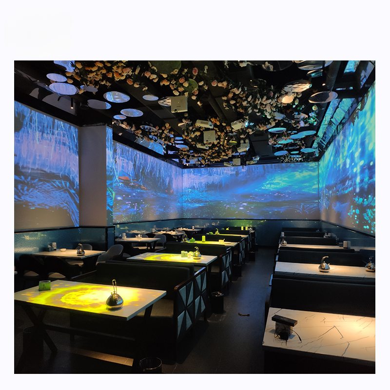 Interactive Indoor and Outdoor Laser Floor & Wall Projector